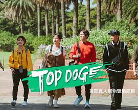 探花精选《TOP DOG》免费在线观看