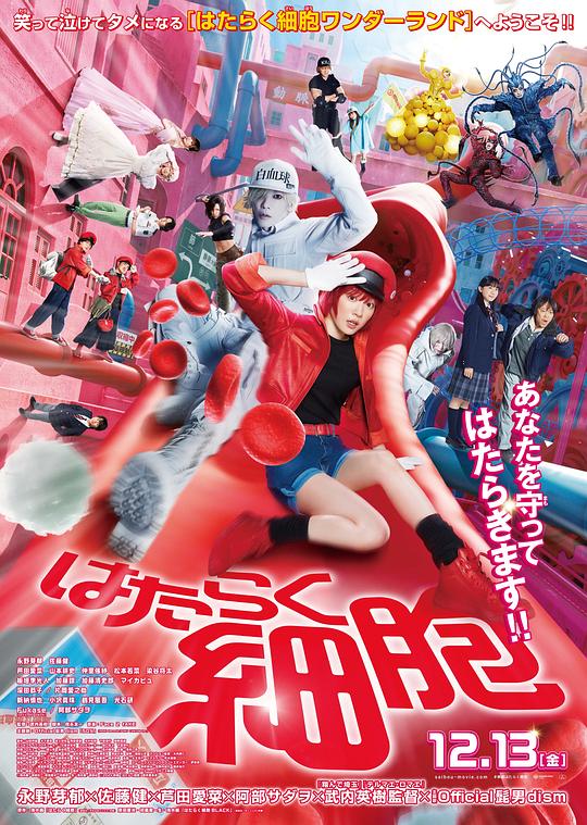 探花精品《工作细胞 真人版 はたらく細胞》免费在线观看