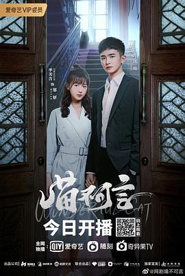 探花视频《喵不可言》免费在线观看