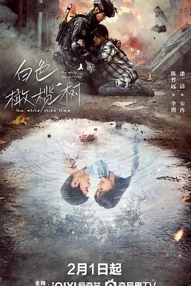 探花视频《白色橄榄树》免费在线观看