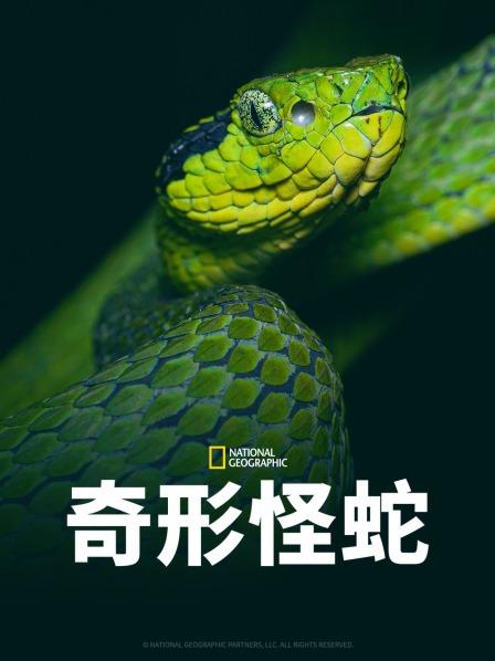 探花视频《奇形怪蛇》免费在线观看