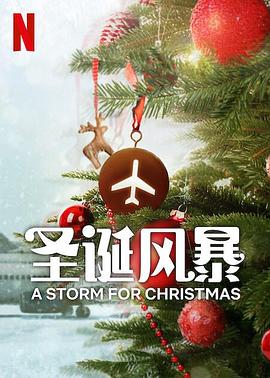 探花精品《圣诞风暴》免费在线观看
