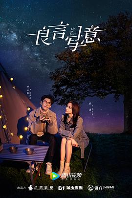 探花视频《良言写意》免费在线观看